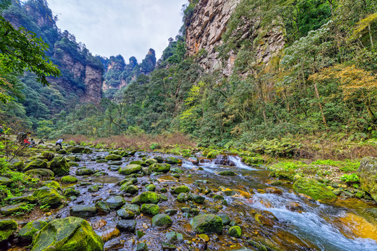 張家界金鞭溪景點介紹——探尋自然之美的絕佳去處，張家界金鞭溪，自然之美的絕佳探尋地
