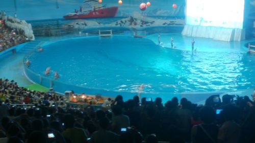 青島極地海洋世界表演時間表詳解，青島極地海洋世界表演時間全面解析