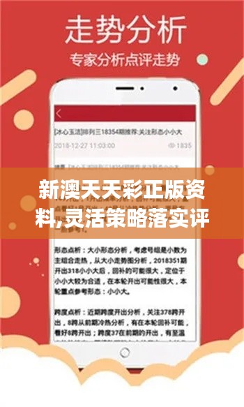新澳精準資料免費提供，探索與實踐的指南，新澳精準資料免費分享，探索與實踐的導航指南