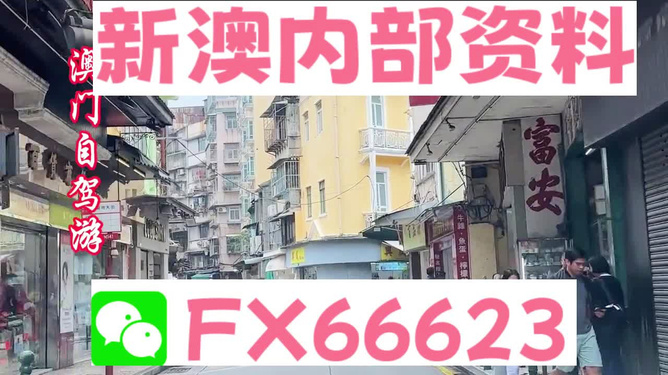 新澳精準資料免費提供，探索第510期的奧秘與價值，新澳第510期精準資料探索，奧秘與價值揭秘