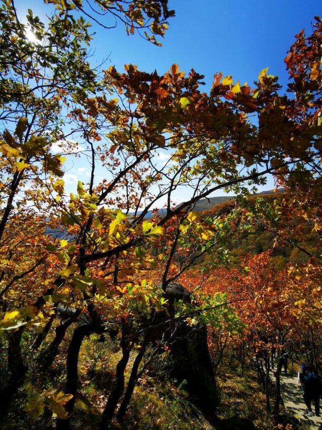 探索牡丹江，一覽眾多魅力無窮的旅游景點(diǎn)，牡丹江探秘，無限魅力的旅游景點(diǎn)大盤點(diǎn)