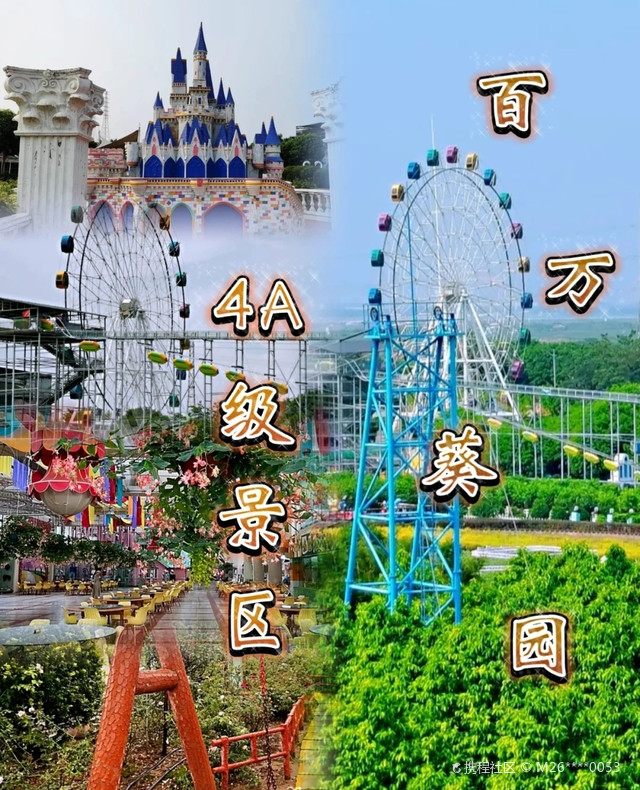廣州百萬葵園游玩攻略，廣州百萬葵園游玩攻略大全