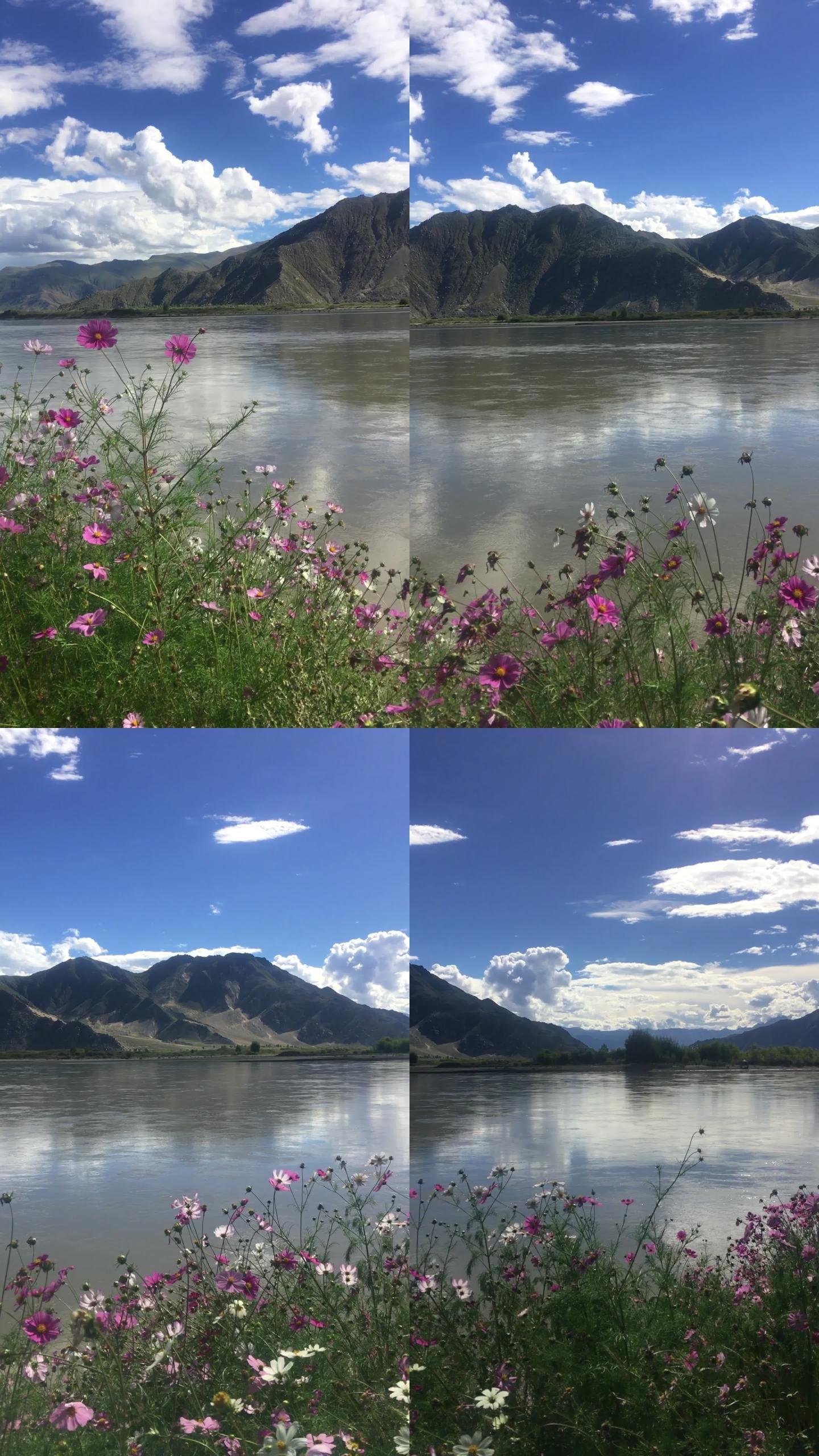 探索風景視頻的奧秘，自然美景的視覺盛宴，自然美景的視覺盛宴，風景視頻的奧秘探索