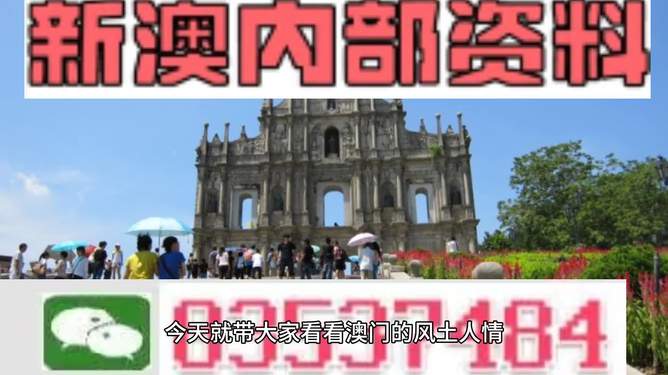 新澳天天開彩資料大全——彩票玩家的必備指南，新澳天天開彩資料大全，彩票玩家的全方位指南