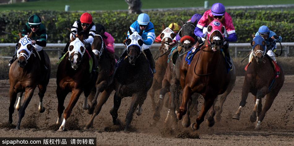 揭秘2019王中王一肖，才華橫溢的影視新星，揭秘影視新星王中王一肖，才華橫溢的2019新星之光