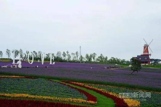 哈爾濱普羅旺斯薰衣草莊園門票攻略，哈爾濱普羅旺斯薰衣草莊園門票攻略詳解