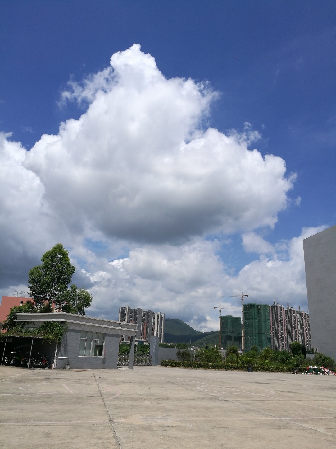 惠陽(yáng)天氣預(yù)報(bào)——掌握天氣動(dòng)態(tài)，生活更從容，惠陽(yáng)天氣預(yù)報(bào)，掌握天氣動(dòng)態(tài)，享受從容生活