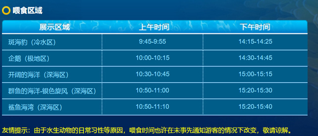 上海海洋館門票價(jià)格詳解，探索海洋世界的不同選擇，上海海洋館門票價(jià)格全解析，探索海洋世界的多元選擇之旅