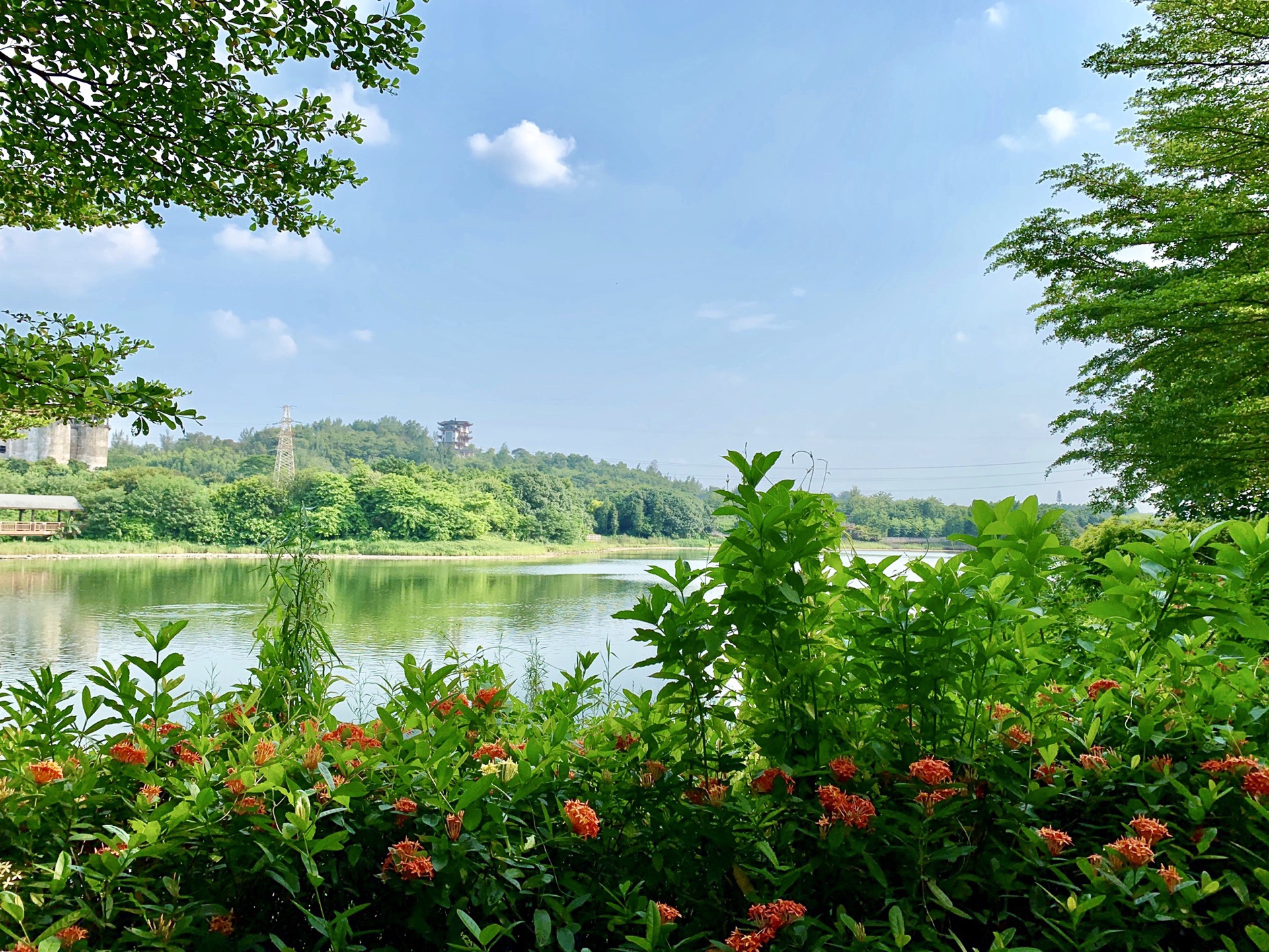 花都湖公園景點介紹——領(lǐng)略自然之美，花都湖公園，自然之美的絕佳領(lǐng)略地