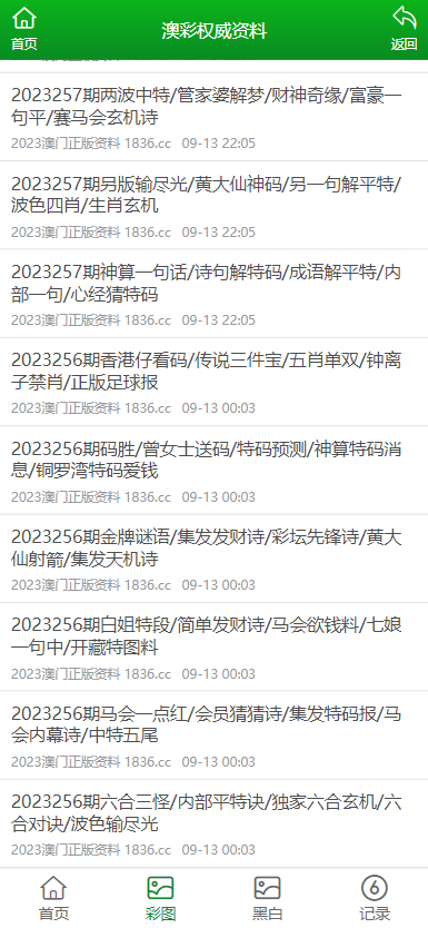 澳門正版資料的重要性及其在2025年的展望，澳門正版資料的重要性及未來(lái)展望（至2025年）