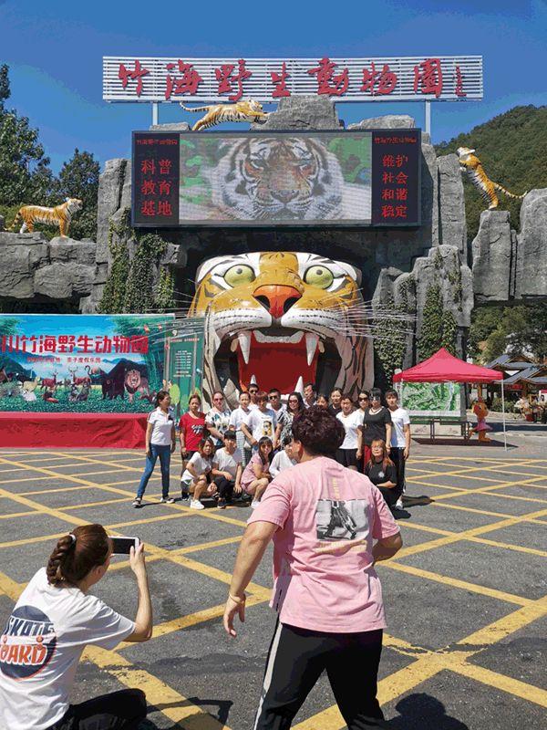 長(zhǎng)春東北虎園門票價(jià)格詳解，長(zhǎng)春東北虎園門票價(jià)格全解析