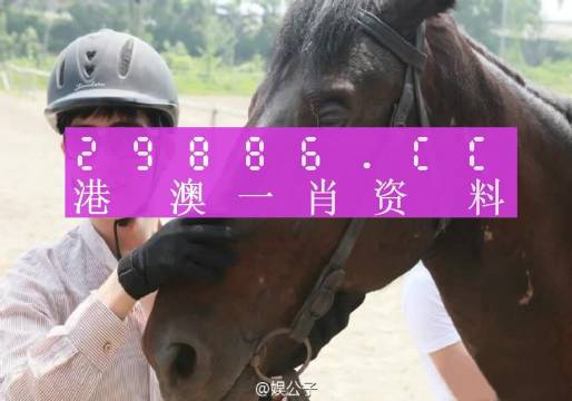 澳門一肖一碼一必中一肖，同舟前進(jìn)的奧秘與策略，澳門一肖一碼必中策略與前進(jìn)奧秘，同舟共濟(jì)的揭秘與策略