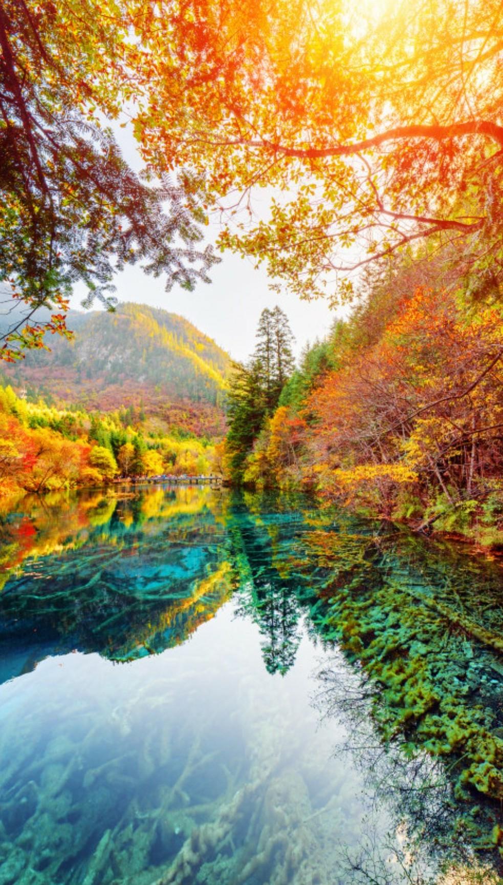 九寨溝在四川的哪個市，深度解析與旅游攻略，深度解析九寨溝位置與旅游攻略，四川市的九寨溝探秘