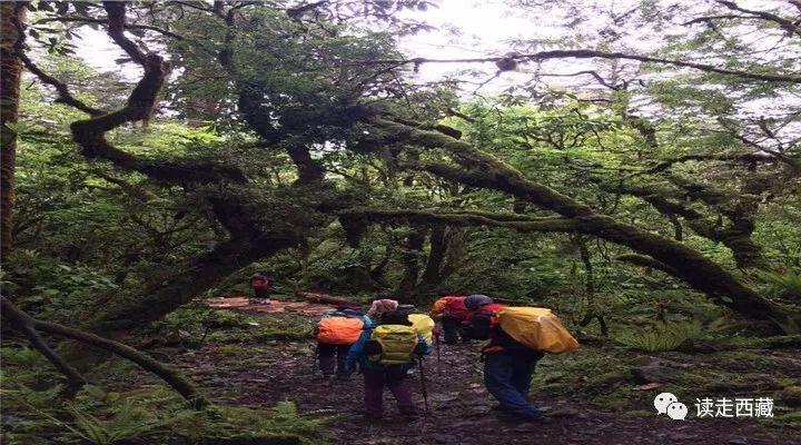 西雙版納旅游路線規(guī)劃攻略，西雙版納旅游路線規(guī)劃攻略大全