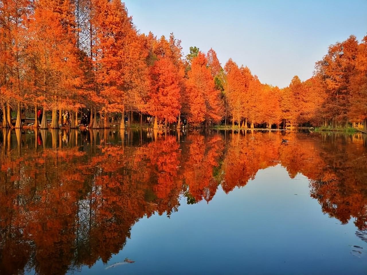 南京旅游景點(diǎn)排名前十名，探尋古都的璀璨明珠，南京旅游必去景點(diǎn)前十名揭曉，探尋古都璀璨明珠之旅