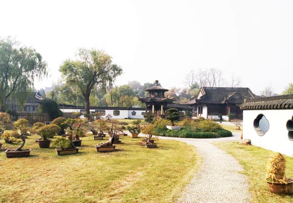 瘦西湖門票優(yōu)惠政策詳解，瘦西湖門票優(yōu)惠政策全面解析