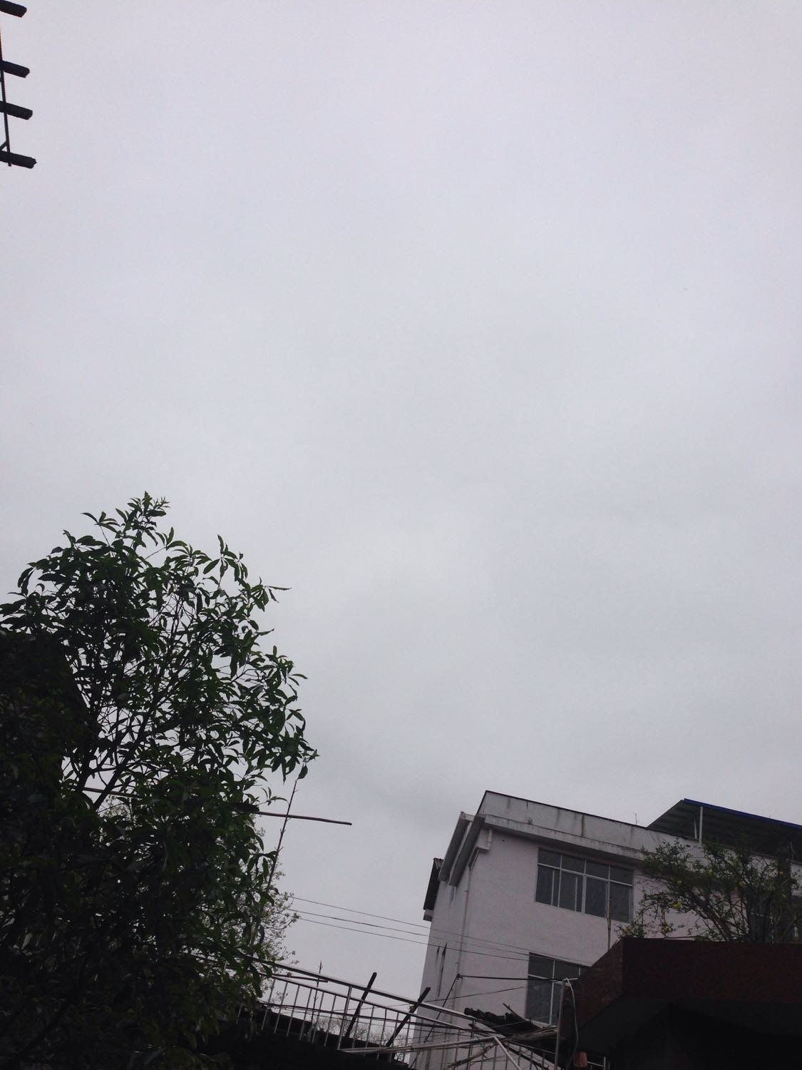 浦城天氣預(yù)報，掌握天氣變化，安排生活出行，浦城天氣預(yù)報，掌握天氣變化，輕松安排生活出行