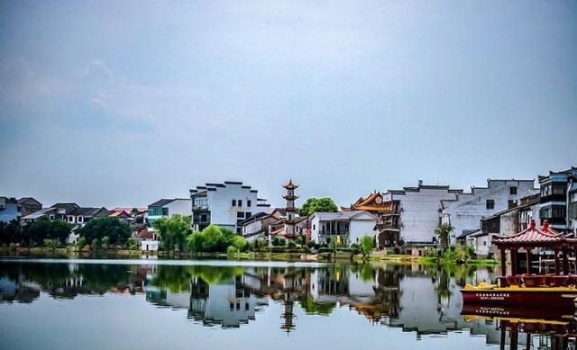 森林公園有什么好玩的——探索自然之美的絕佳去處，森林公園探險指南，自然之美的絕佳探索地