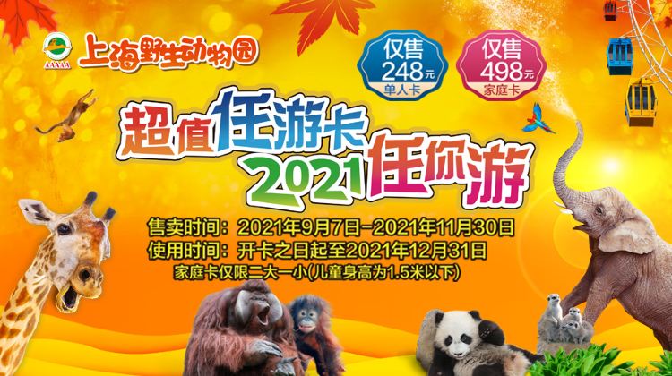 上海野生動物園門票價格詳解，上海野生動物園門票價格全面解析