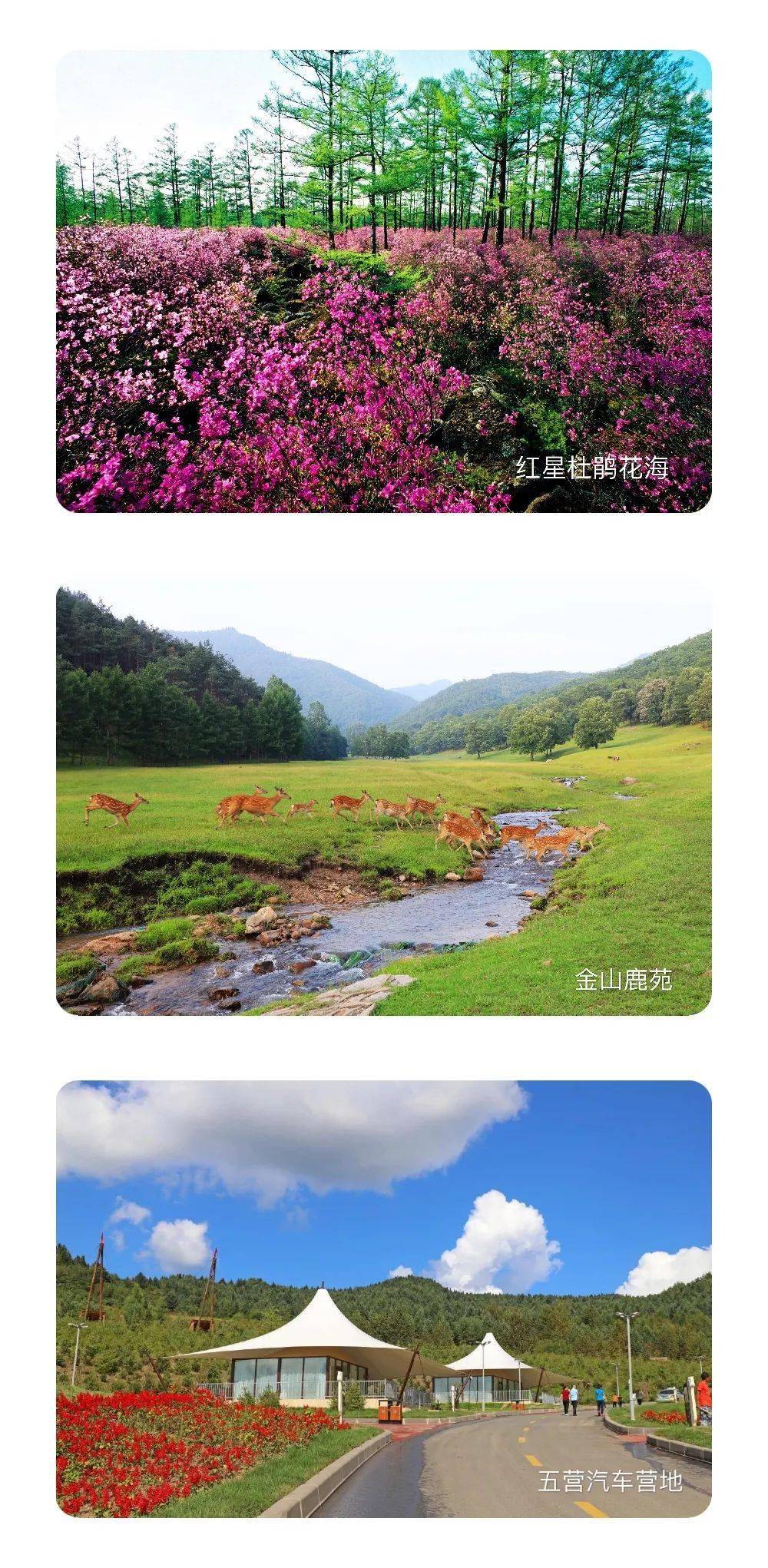 伊春旅游最佳時間，探索最佳旅游季節(jié)，盡享自然美景，伊春最佳旅游季節(jié)，自然美景盡收眼底