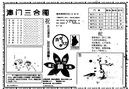 管家姿王中王一肖三碼，揭秘背后的秘密與策略，揭秘管家姿王中王一肖三碼背后的秘密與策略