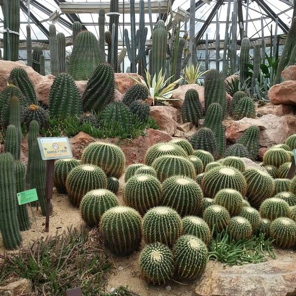 太原植物園門票價(jià)格及購買指南，太原植物園門票價(jià)格與購買攻略
