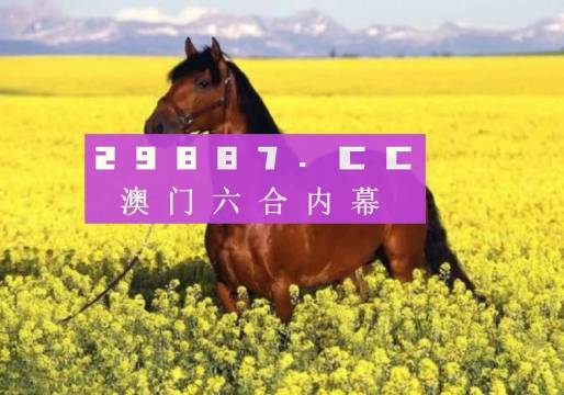 澳門六會(huì)彩資料開獎(jiǎng)結(jié)果，揭秘彩票背后的秘密，澳門六會(huì)彩開獎(jiǎng)結(jié)果揭秘，彩票背后的秘密大揭秘