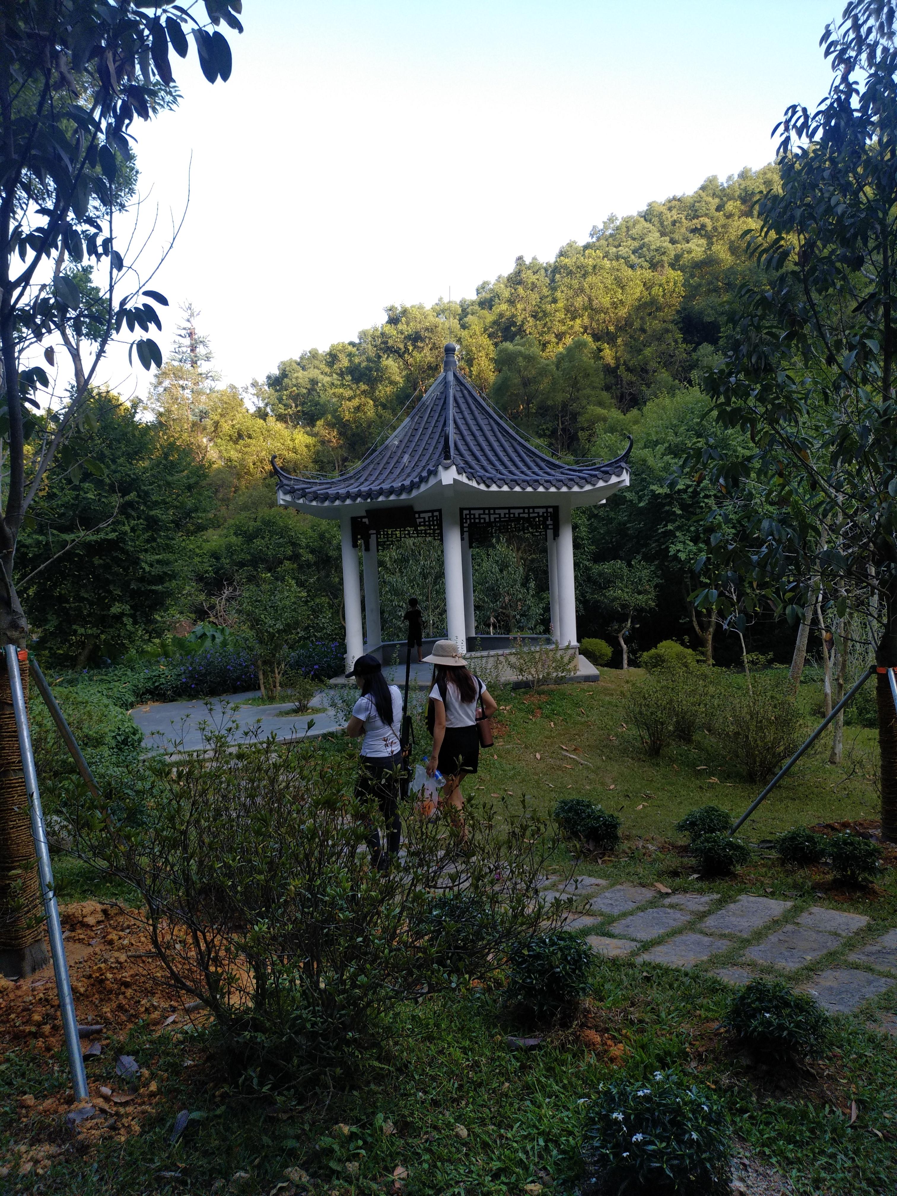 深圳免費(fèi)公園游玩攻略，探索那些好玩又免費(fèi)的公園，深圳免費(fèi)公園游玩指南，探索樂趣無窮的免費(fèi)公園