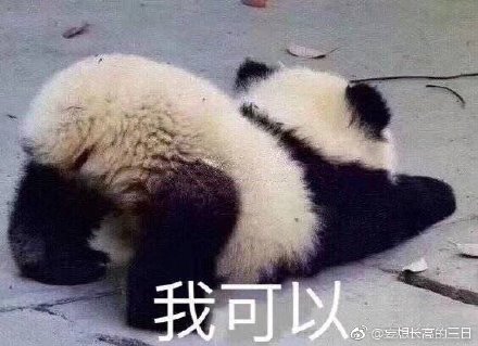 澳門四不像與生肖預(yù)測(cè)，探索未來(lái)的神秘面紗（關(guān)鍵詞，澳門四不像、生肖預(yù)測(cè)、今晚必開(kāi)一肖），澳門四不像與生肖預(yù)測(cè)揭秘，今晚必開(kāi)一肖的神秘面紗