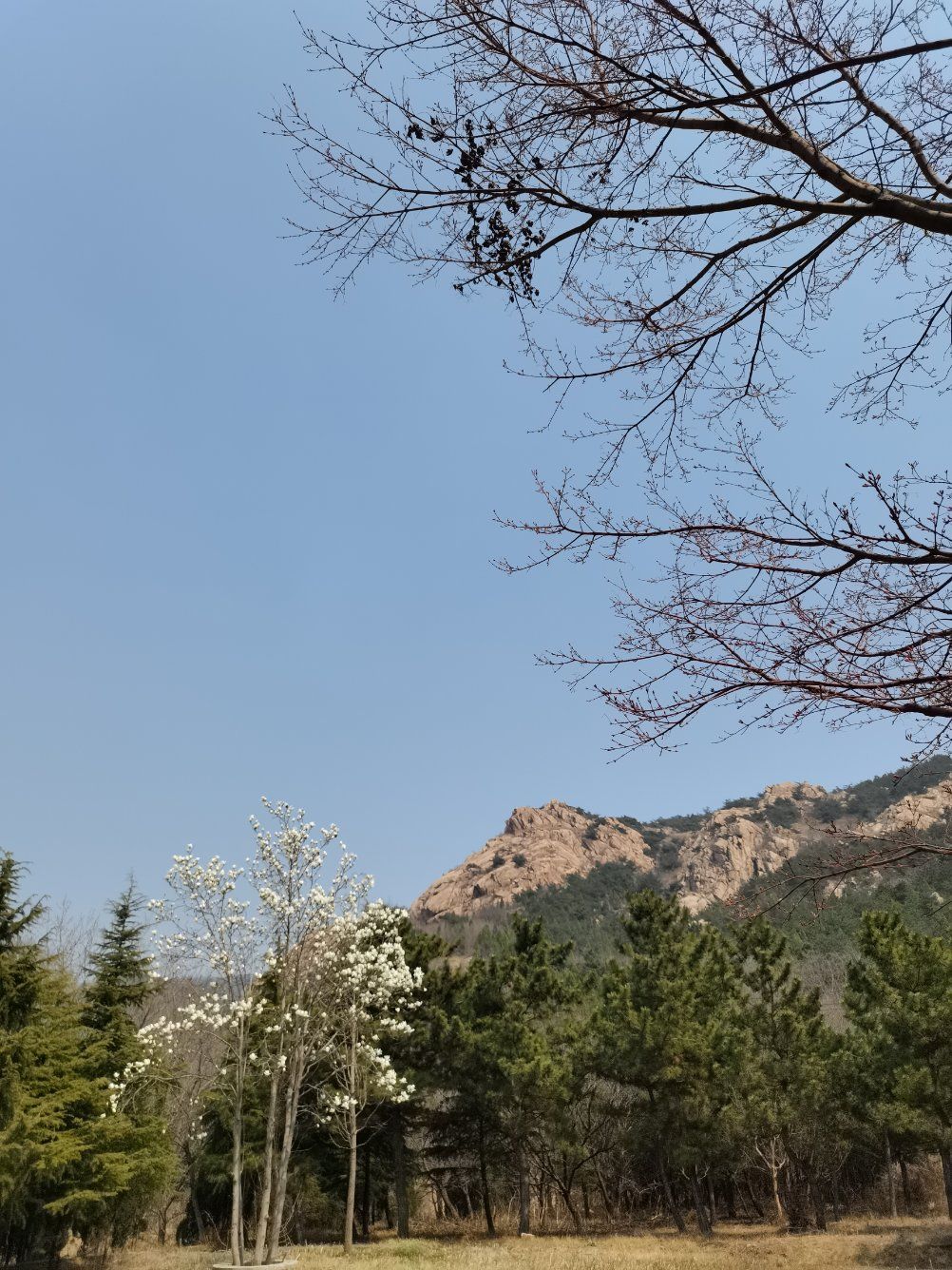 珠山國家森林公園，自然之美的獨特展示，珠山國家森林公園，自然之美的獨特魅力展示