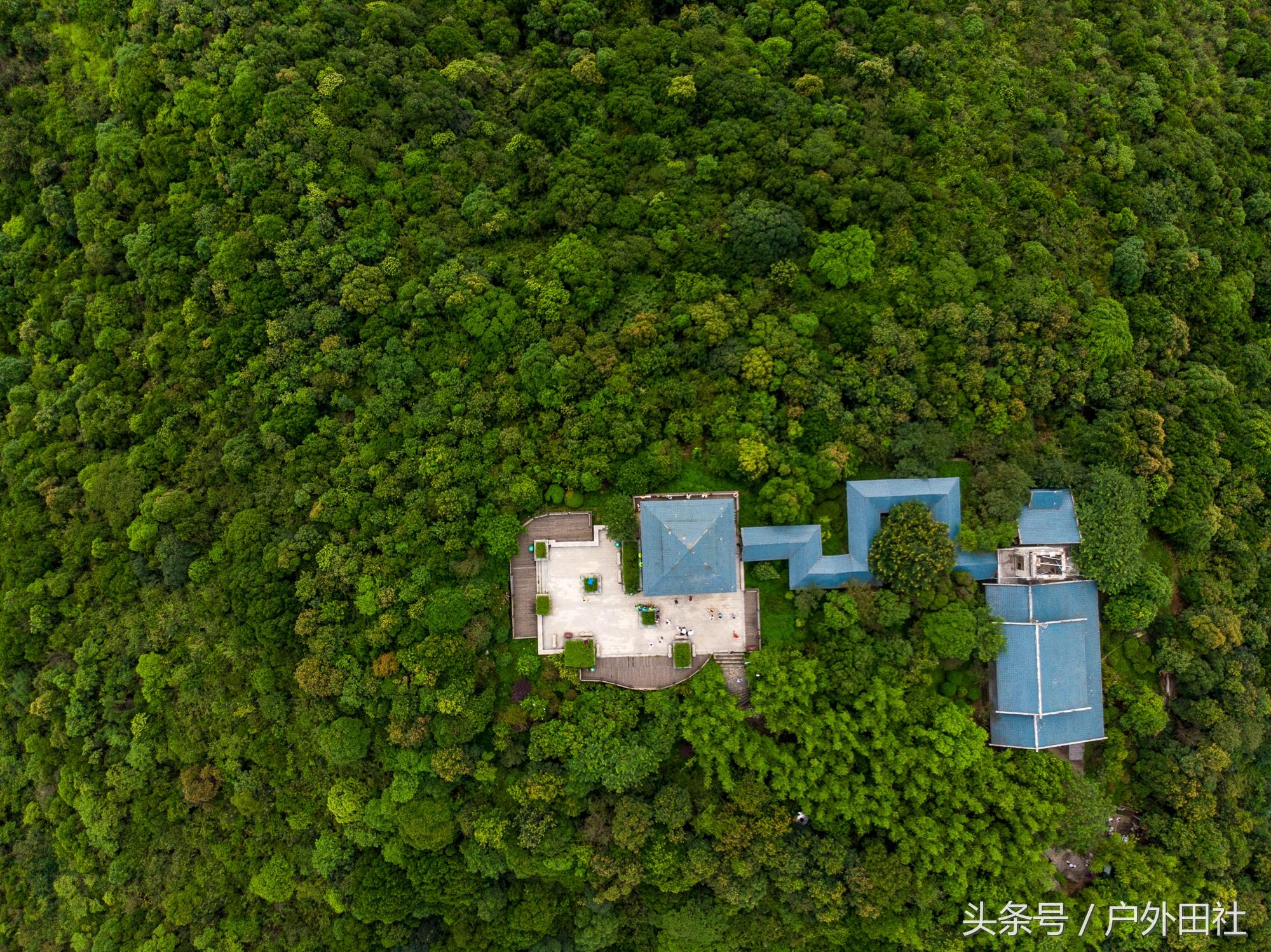 東莞大嶺山森林公園，自然美景的圖片展示，東莞大嶺山森林公園自然美景圖片展示日冕風(fēng)采