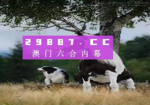 澳門正版資料大全，探索澳門，預(yù)見未來的精彩瞬間（2025版），澳門正版資料大全，探索澳門，預(yù)見未來精彩瞬間（2025展望）