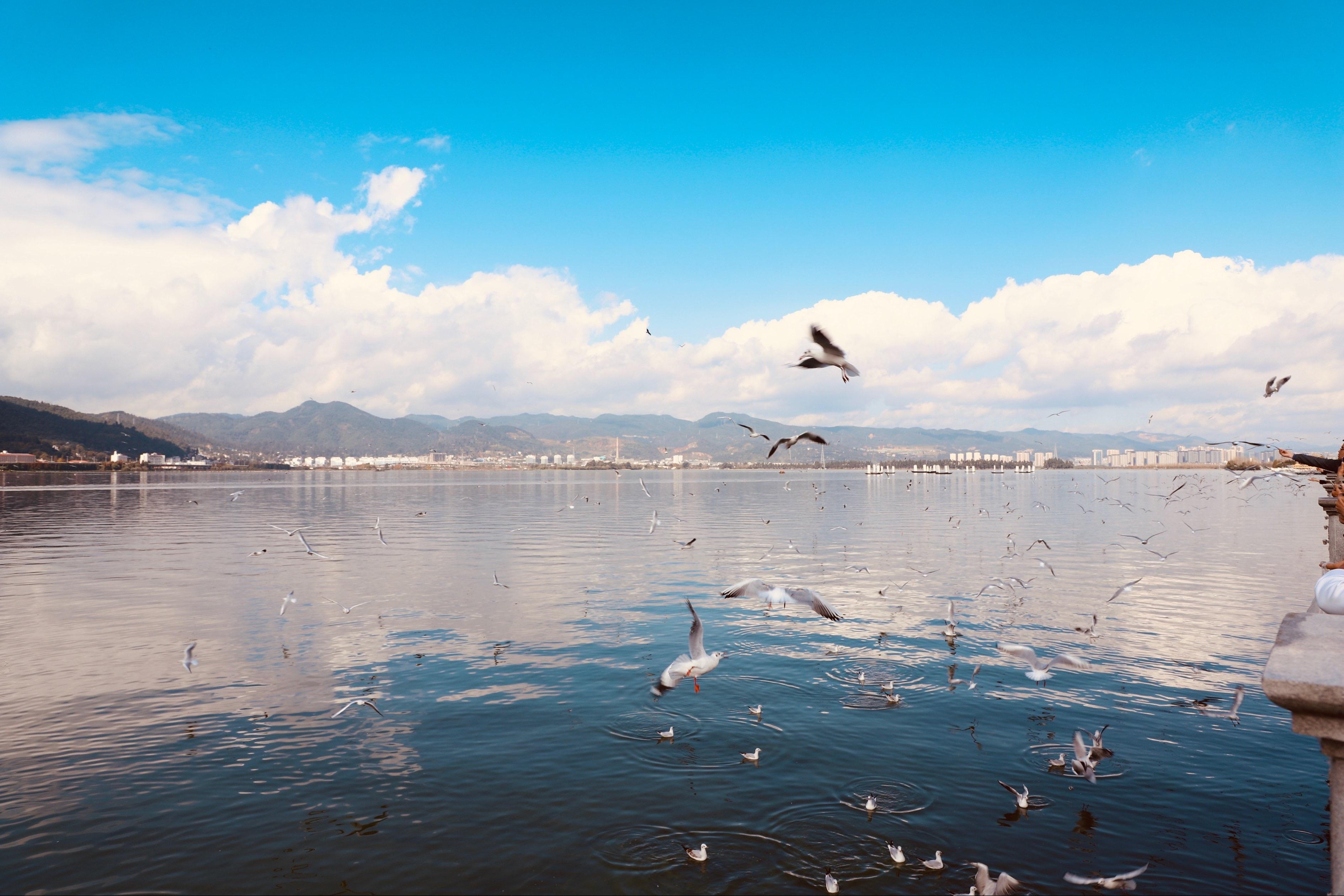 最近能去云南旅游嗎？——探索云南的無限魅力，探索云南，現(xiàn)在能否啟程的無限魅力之旅