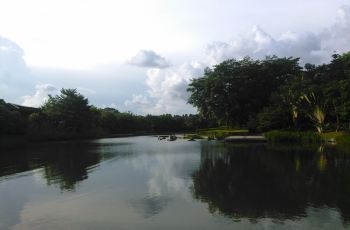 三水森林公園門票價格詳解，探索自然之美，預算無憂，三水森林公園門票價格全解析，自然之美，預算無憂探索