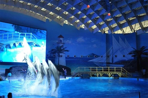 武漢海洋公園門票價格及購買攻略，武漢海洋公園門票價格與購買攻略