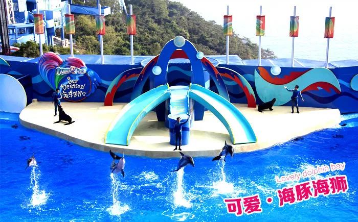 香港海洋公園，探索樂趣無窮的海洋世界，香港海洋公園，樂享海洋世界的探索之旅