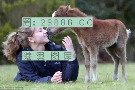 澳門今晚必開一肖一特，探索生肖彩票的魅力與預(yù)測(cè)邏輯，澳門生肖彩票預(yù)測(cè)，探索彩票魅力與預(yù)測(cè)邏輯揭秘特肖一碼之夜