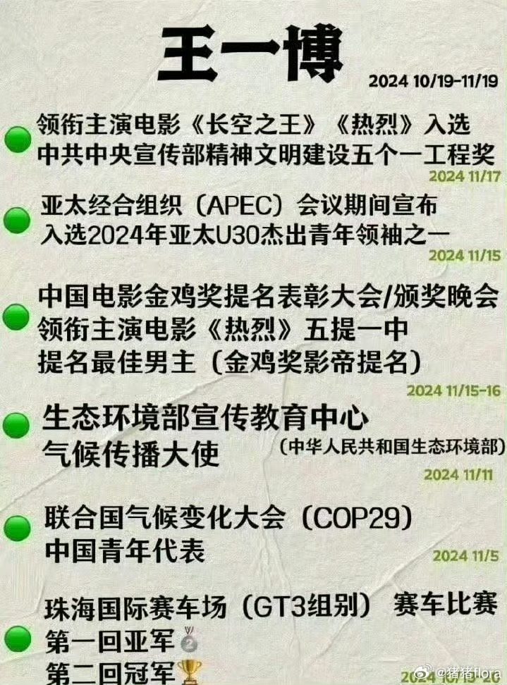 王中王一肖一嗎期期中，深度解析與探索，王中王一肖一，深度解析與探索期中的奧秘