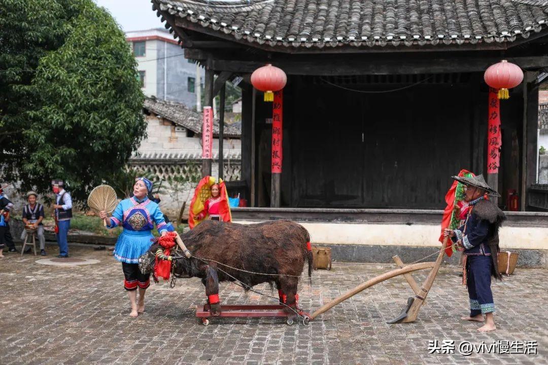 桂林旅游攻略，必去景點(diǎn)圖片詳解，桂林旅游攻略大全，必去景點(diǎn)詳解與圖片欣賞