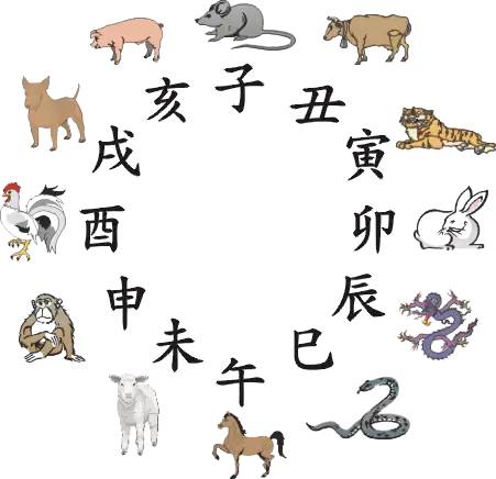 王中王015指一生肖，深度解析與SEO優(yōu)化策略，王中王015指一生肖，深度解析及SEO優(yōu)化策略全攻略