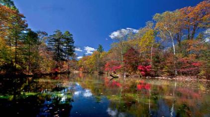 仙峰國(guó)家森林公園，自然之美的獨(dú)特展現(xiàn)，仙峰國(guó)家森林公園，自然之美的獨(dú)特展現(xiàn)勝地