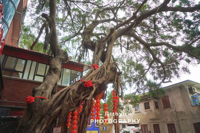 鼓浪嶼最好的海景酒店排名——體驗最美麗的海濱時光，鼓浪嶼海景酒店排名TOP榜，盡享絕美海濱時光