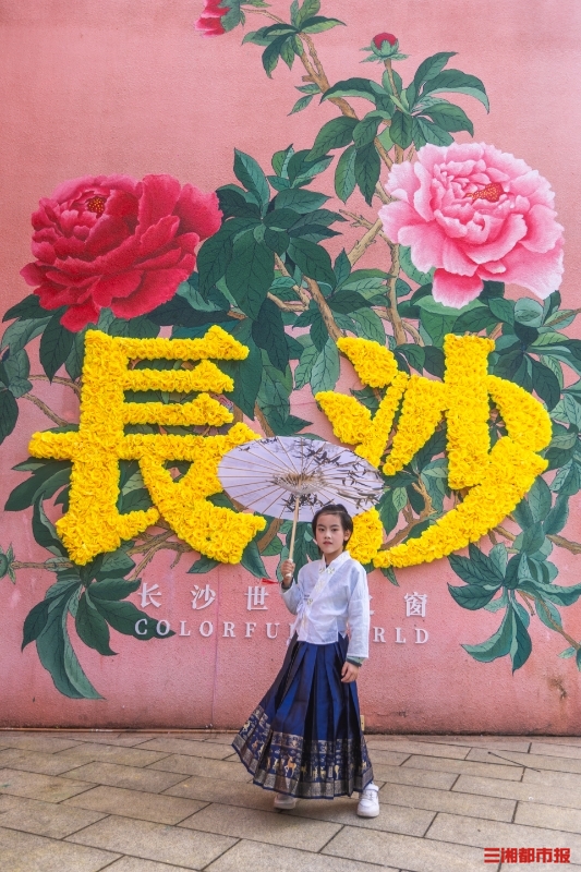 世界之窗長沙，探尋魅力之都的無限精彩，世界之窗長沙，魅力之都的無限精彩探尋