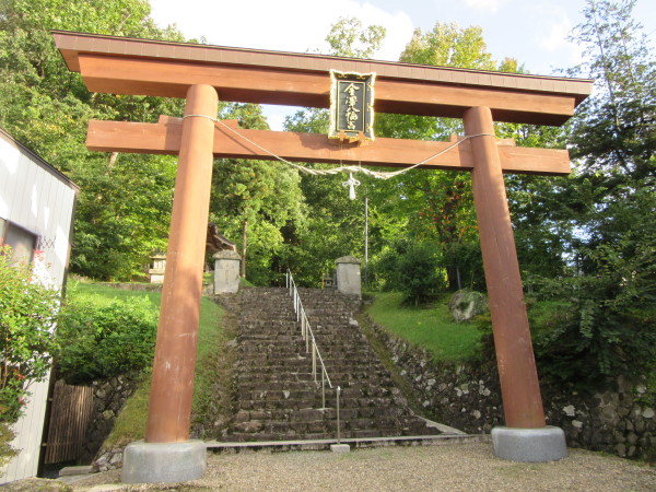 附近離我最近的免費公園，探索城市中的綠色寶藏，探索城市綠色寶藏，離我最近免費公園一覽