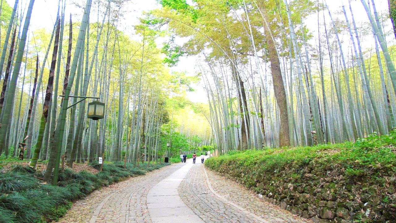 浙江杭州西湖景區(qū)，千年風(fēng)華，一網(wǎng)打盡，浙江杭州西湖景區(qū)，千年風(fēng)華盡收眼底