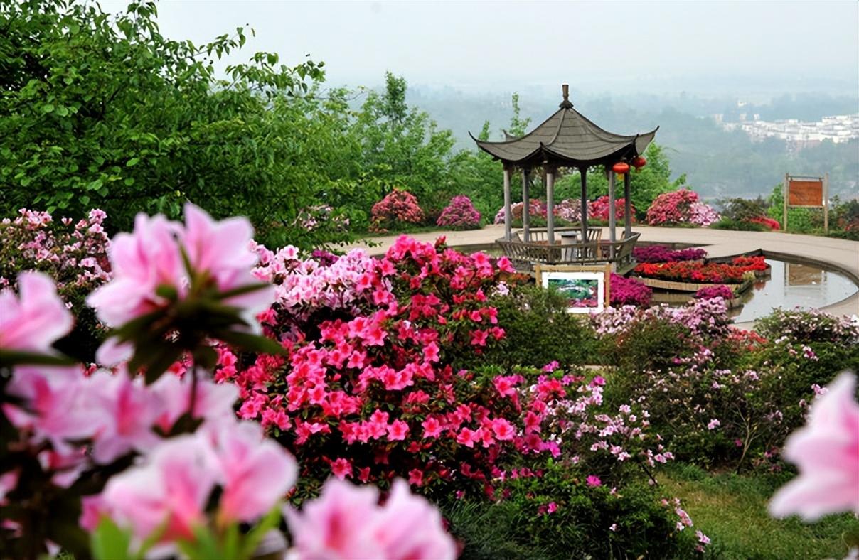 成都好玩的地方有哪些，探索天府之國的魅力景點(diǎn)，探索天府之國，成都必游魅力景點(diǎn)盤點(diǎn)