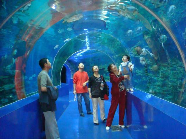 沈陽皇家極地海洋館，探索神秘海洋世界的絕佳之地，沈陽皇家極地海洋館，神秘海洋世界的探索之旅