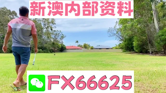 王中王一碼特肖，揭秘背后的故事與SEO策略，揭秘王中王一碼特肖背后的故事與SEO策略秘籍