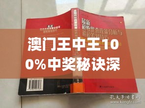 新澳門王中王游戲，揭秘期期中秘密與SEO策略，揭秘新澳門王中王游戲期期中秘密與SEO策略之道