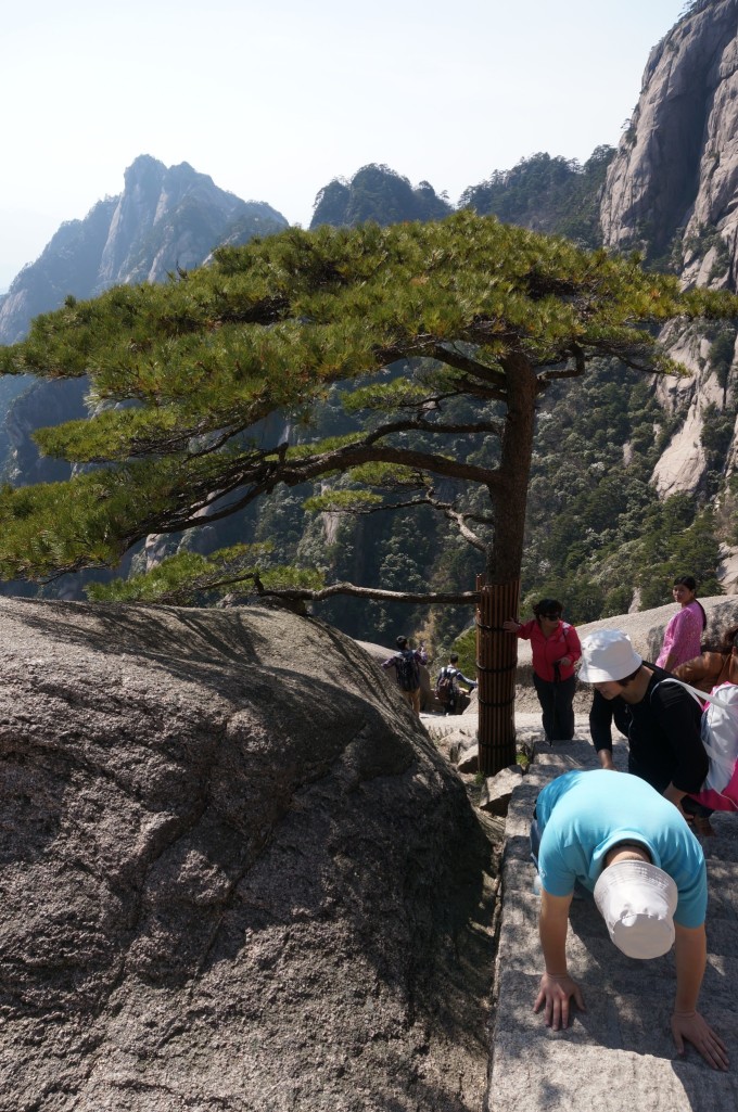 合肥旅行社黃山三日游，領(lǐng)略自然之美，體驗(yàn)文化之韻，合肥旅行社黃山三日游，自然之美與文化之韻的體驗(yàn)之旅